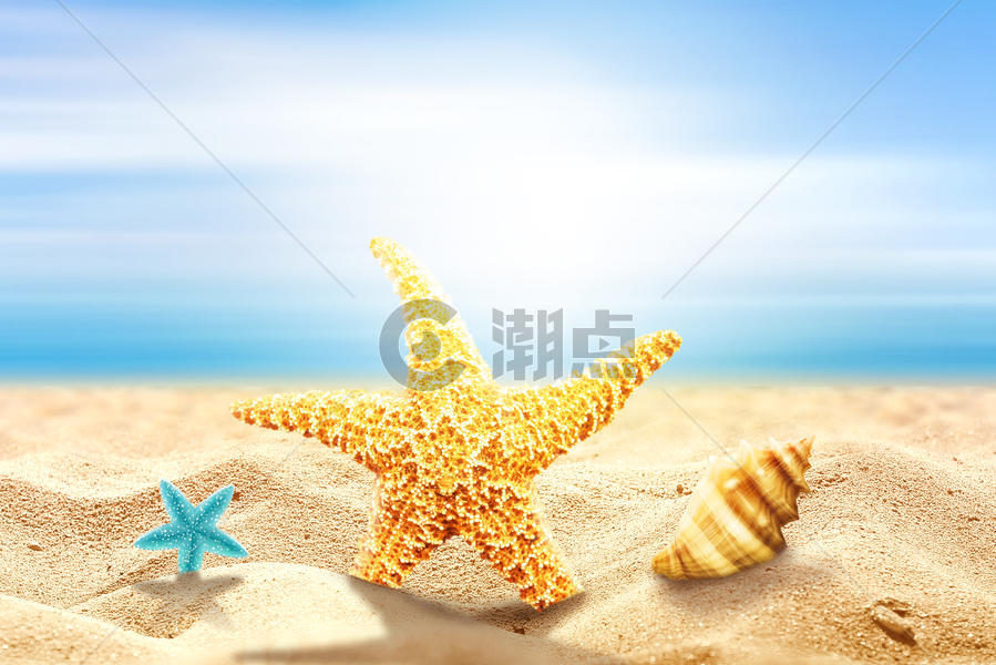 夏天沙滩海边海星图片素材免费下载