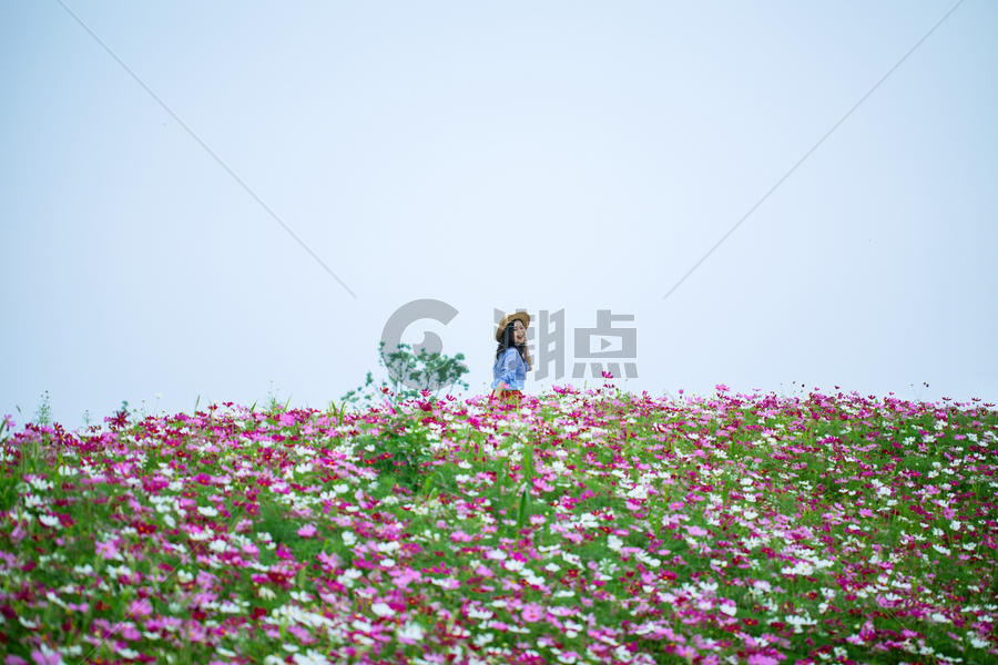 花团锦簇围绕的美女写真图片素材免费下载