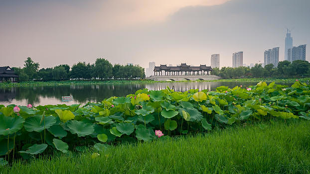 武汉沙湖公园风光图片素材免费下载