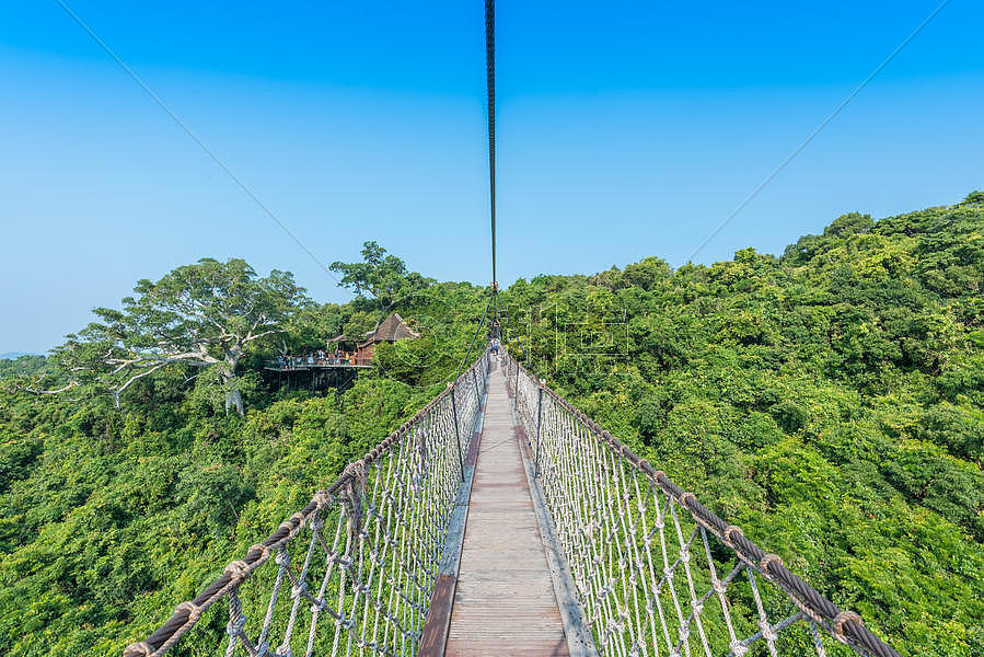 海南三亚热带雨林图片素材免费下载