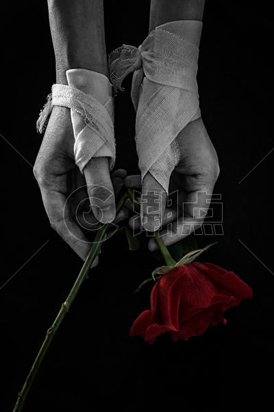 失恋的玫瑰和受伤的手图片素材免费下载