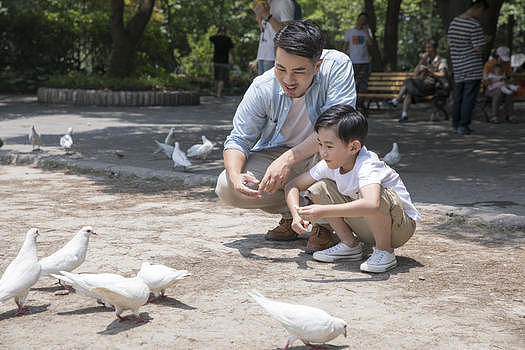 父子公园喂鸽子图片素材免费下载