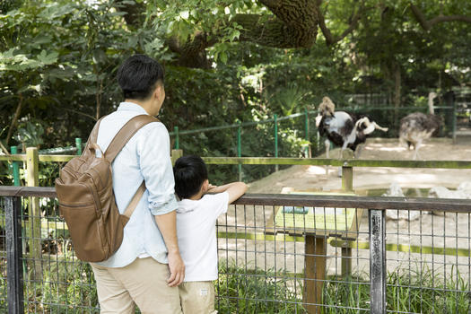 父子动物园踏青图片素材免费下载