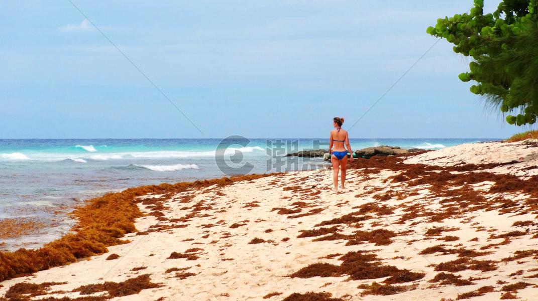 沙滩上的红色海草与少女图片素材免费下载