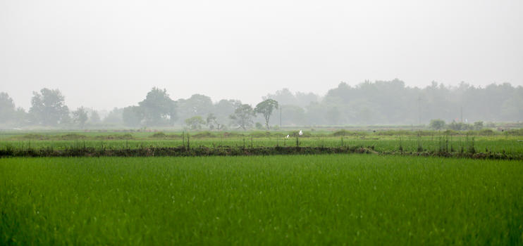 梅雨时节朦胧田园图片素材免费下载