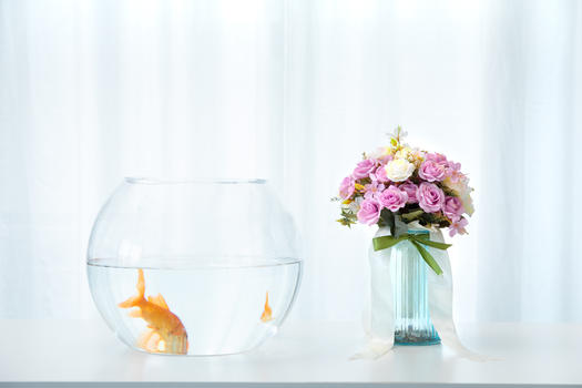 桌子上的金鱼与花卉图片素材免费下载