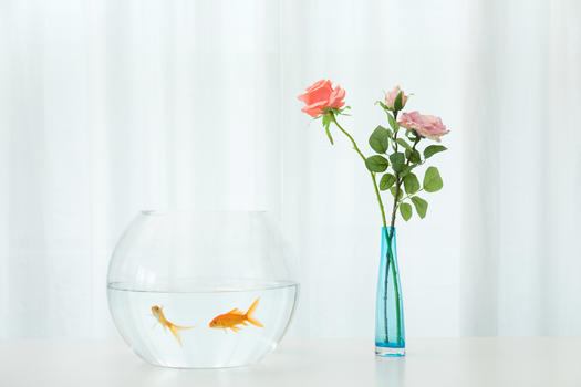 桌子上的金鱼与花束图片素材免费下载