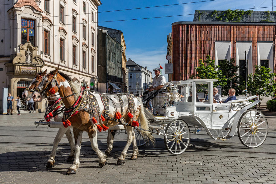 波兰克拉科夫老城城市游览马车图片素材免费下载