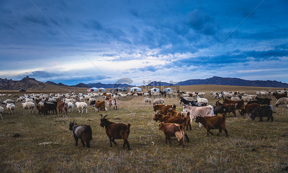 秋天内蒙古大草原上的羊群图片素材免费下载