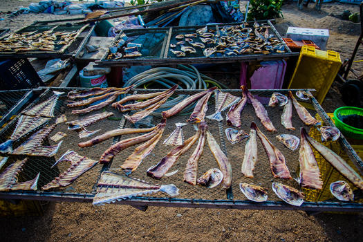 苏梅岛海鲜市场图片素材免费下载