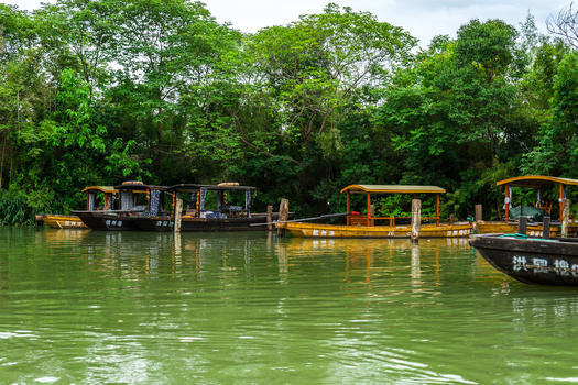白天杭州西溪湿地洪园游船图片素材免费下载
