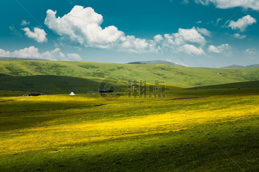甘肃甘南藏族自治区草原花海图片素材免费下载