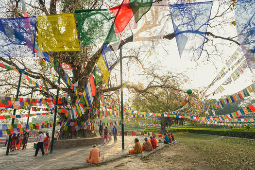 尼泊尔蓝毗尼释迦摩尼诞生地菩提树下图片素材免费下载