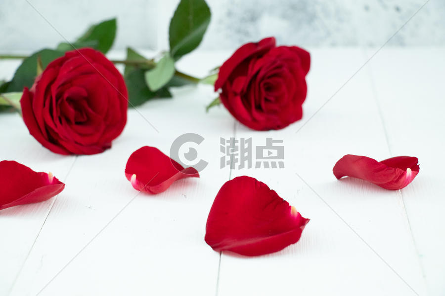 七夕情人节玫瑰花图片素材免费下载
