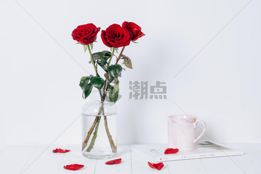 七夕情人节玫瑰花卉图片素材免费下载