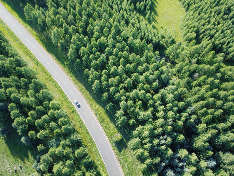 航拍乌兰布统森林公路图片素材免费下载