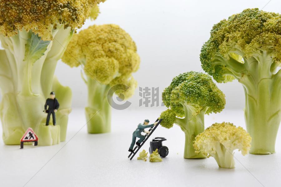 创意蔬菜食物图片素材免费下载
