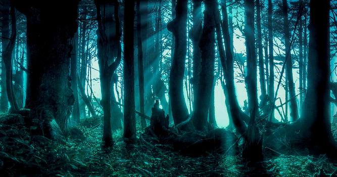 创意森林场景图片素材免费下载
