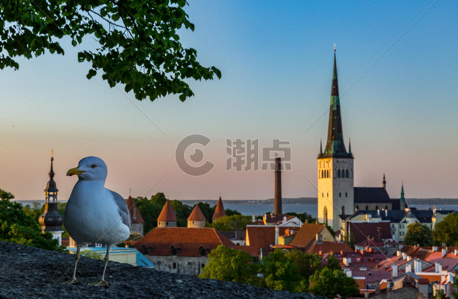爱沙尼亚首都塔林中世纪老城美丽的日出图片素材免费下载
