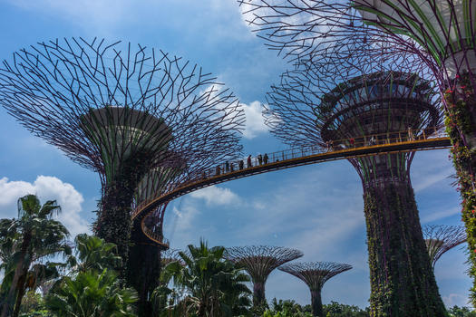 新加坡滨海公园未来树图片素材免费下载