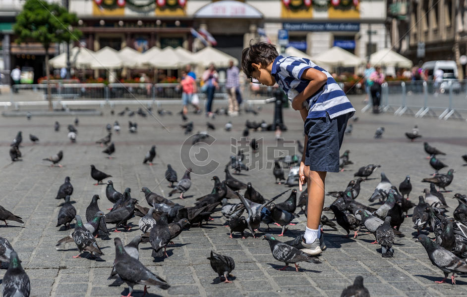 波兰克拉科夫老城广场上喂鸽子图片素材免费下载
