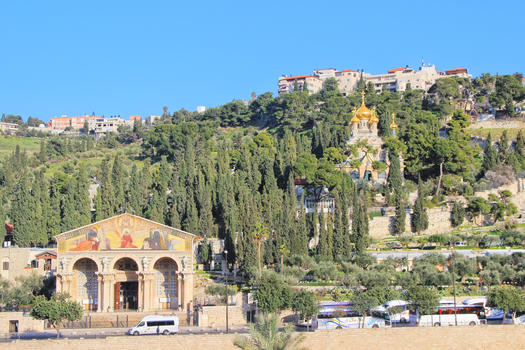 以色列耶路撒冷橄榄山图片素材免费下载
