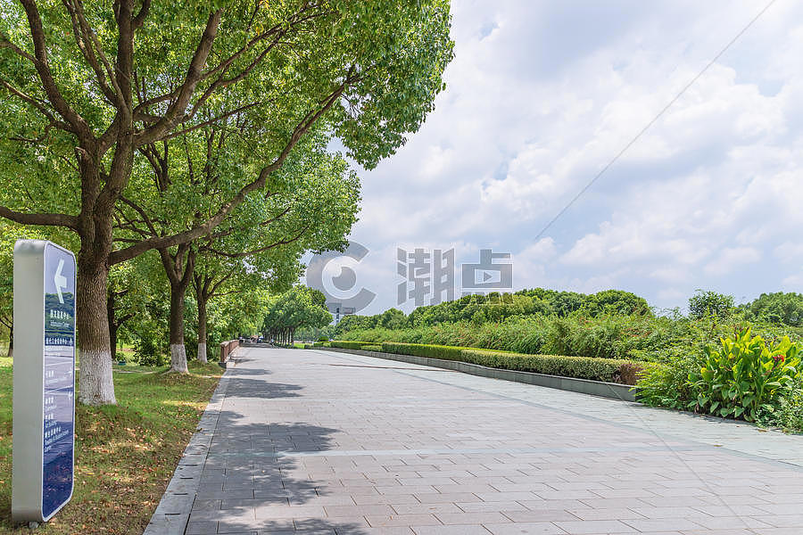 大学校园路摄影图6240*4160图片素材免费下载编号855608潮点视频