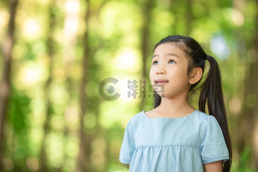 树林里的小女孩图片素材免费下载
