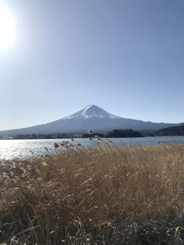 东京富士山图片素材免费下载