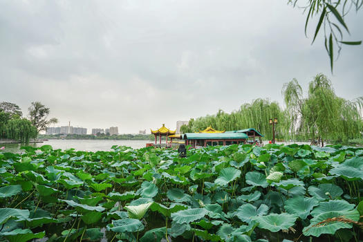 济南大明湖风景区图片素材免费下载