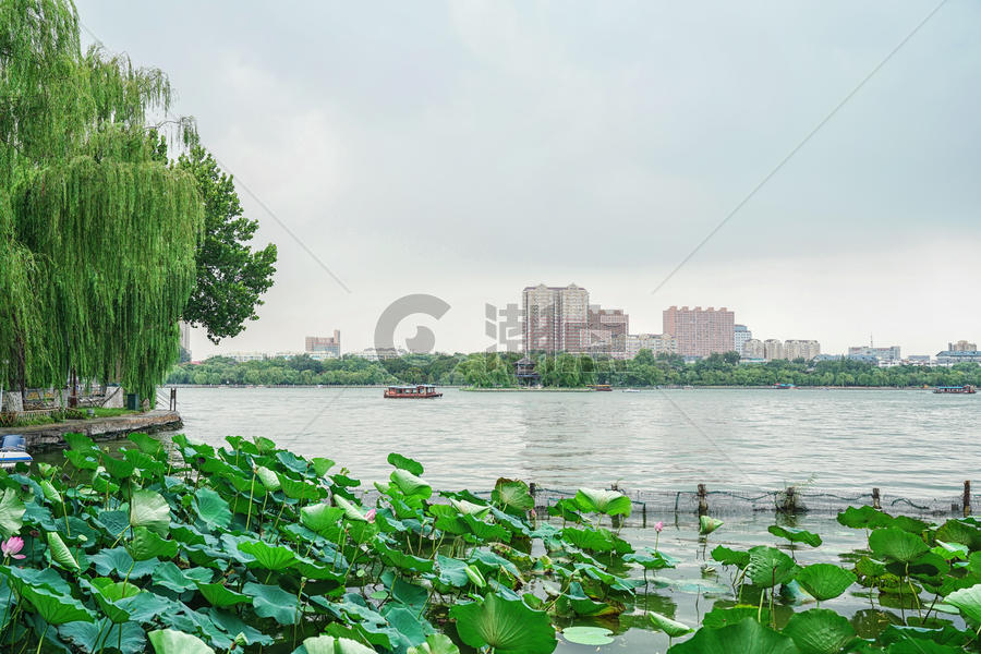 济南大明湖风景区图片素材免费下载