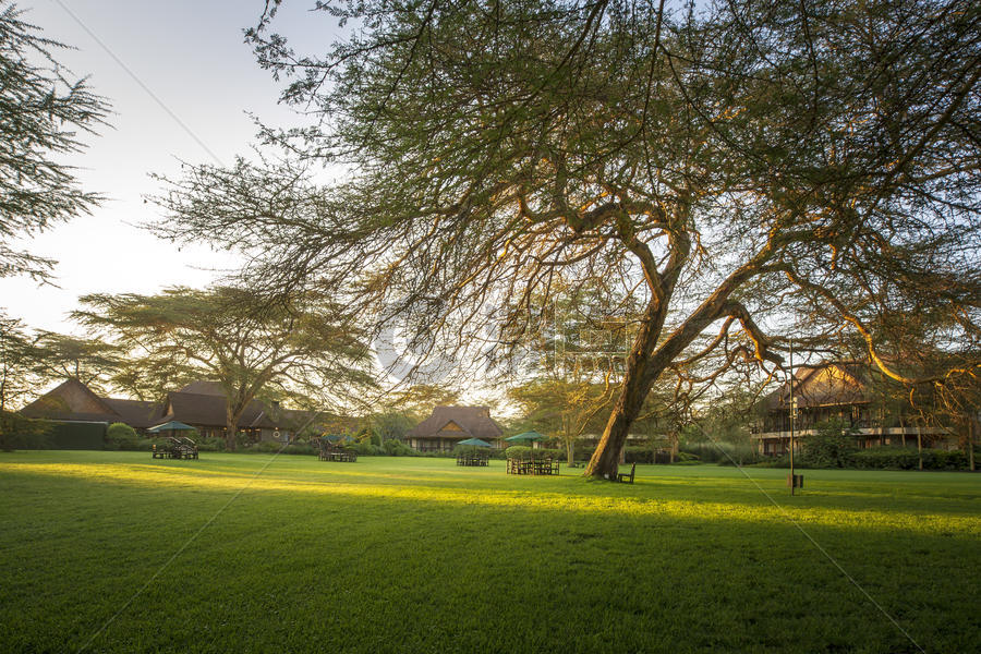 肯尼亚国家公园酒店风光图片素材免费下载