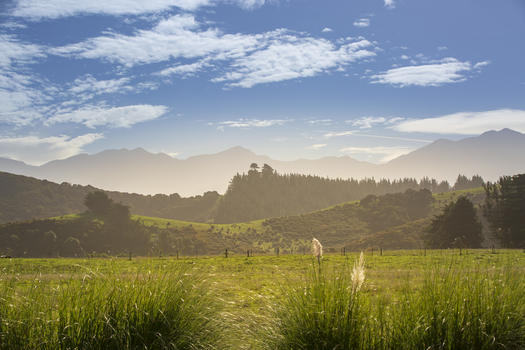 新西兰凯库拉风光图片素材免费下载