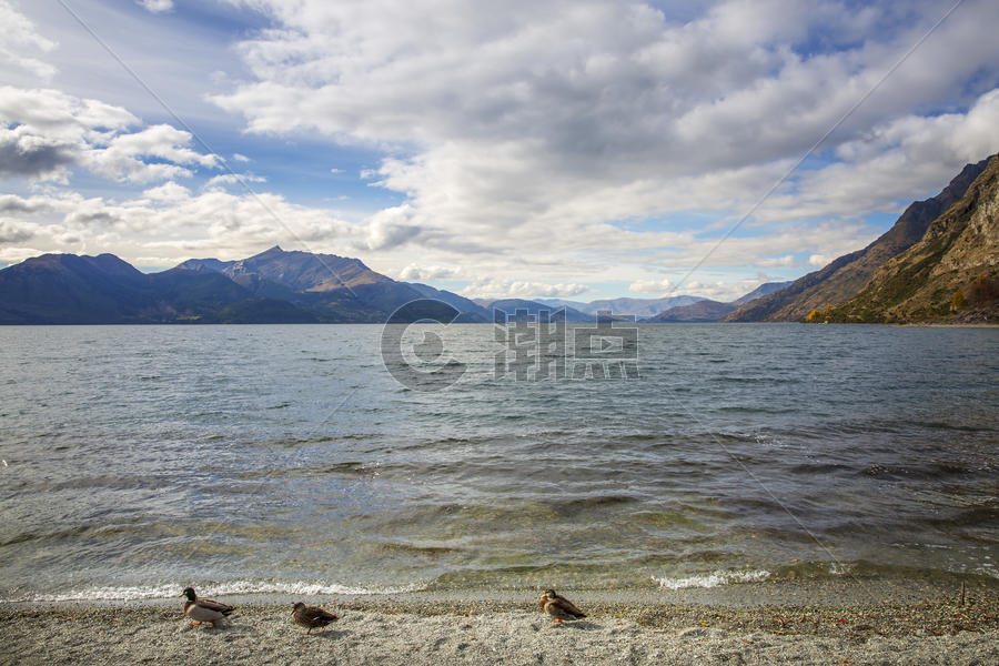 新西兰瓦卡提普湖风光图片素材免费下载