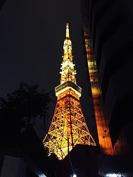 夜晚日本东京塔图片素材免费下载