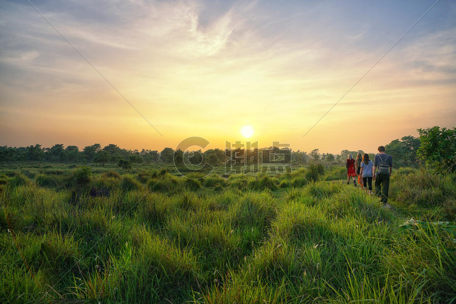 尼泊尔奇特旺国家公园夕阳风光图片素材免费下载