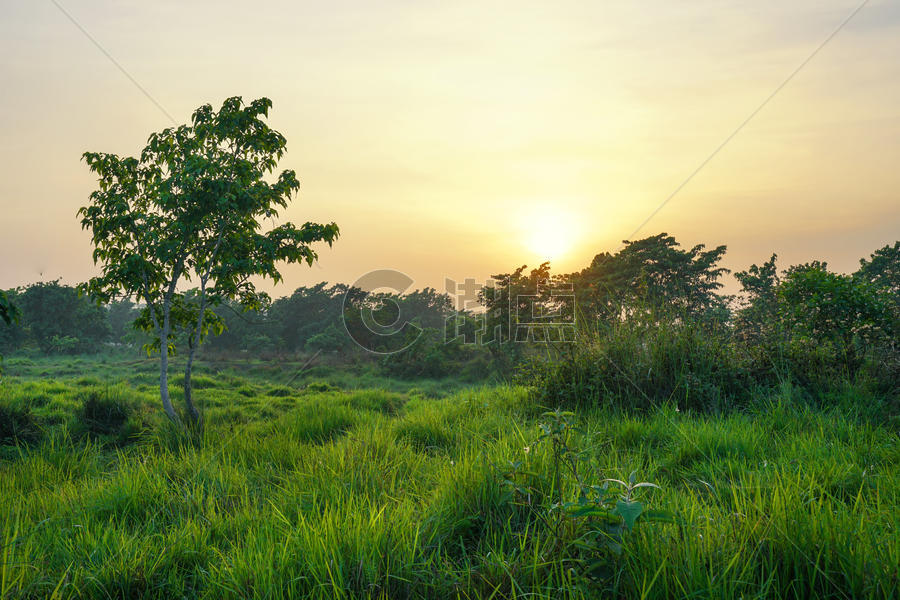 尼泊尔奇特旺国家公园夕阳风光图片素材免费下载