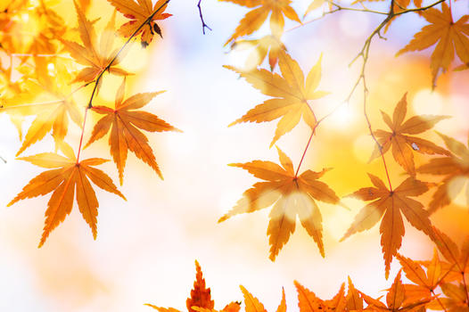 秋季图片素材免费下载