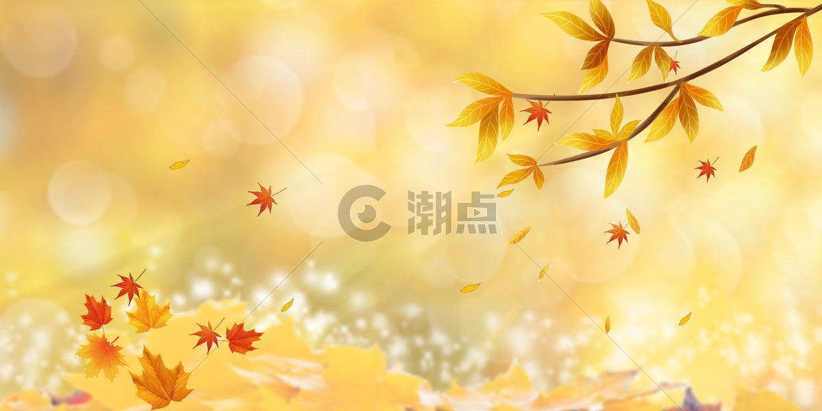 秋天枫叶景色图片素材免费下载