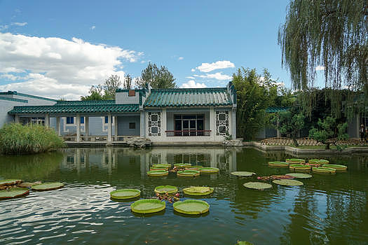 北京植物园景色图片素材免费下载