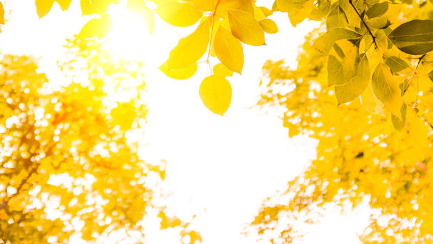 秋季美景图片素材免费下载