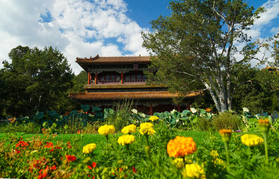 北京夏末初秋的景山公园图片素材免费下载
