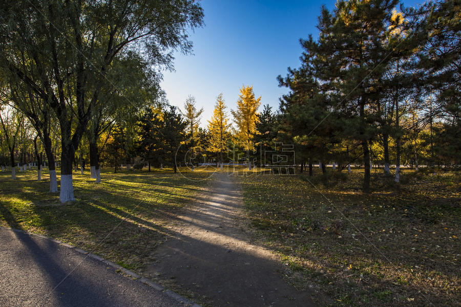 奥林匹克森林公园的秋色图片素材免费下载