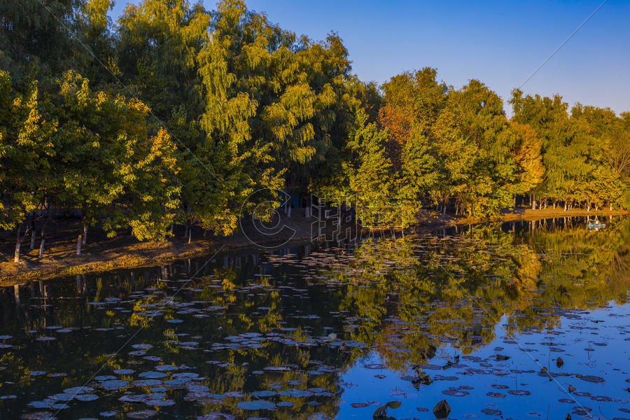 奥林匹克森林公园的秋色湖面图片素材免费下载