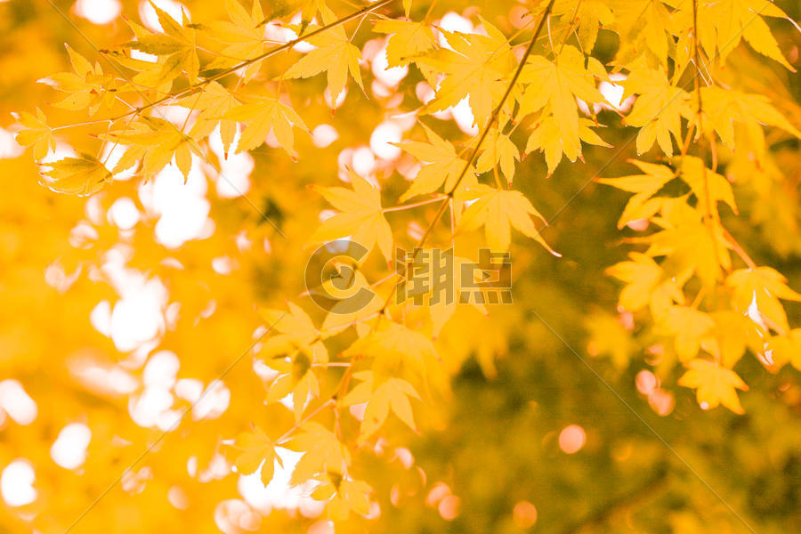  秋季图片素材免费下载