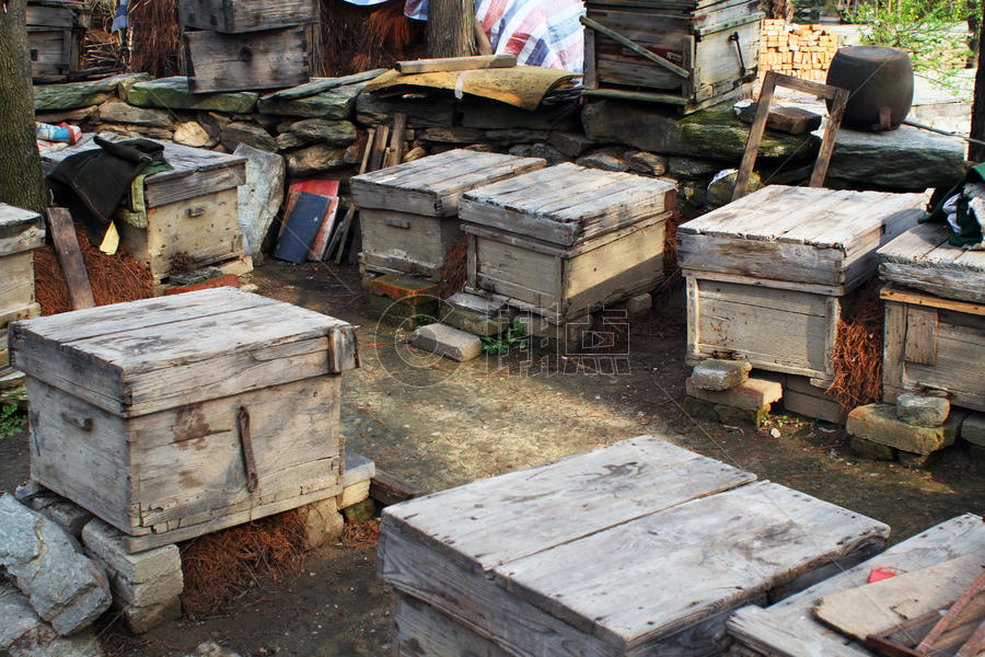养蜂人的蜂箱图片素材免费下载