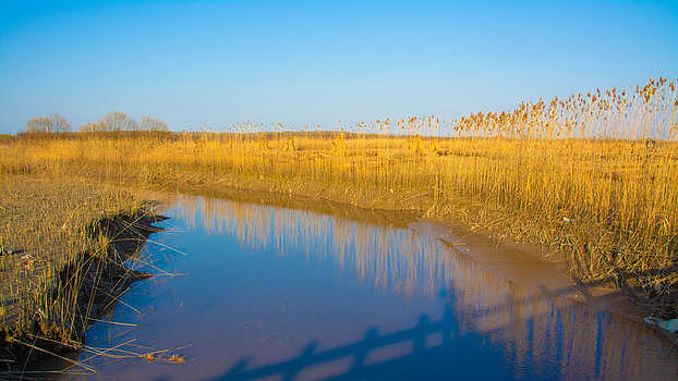 上海崇明西滩湿地公园图片素材免费下载