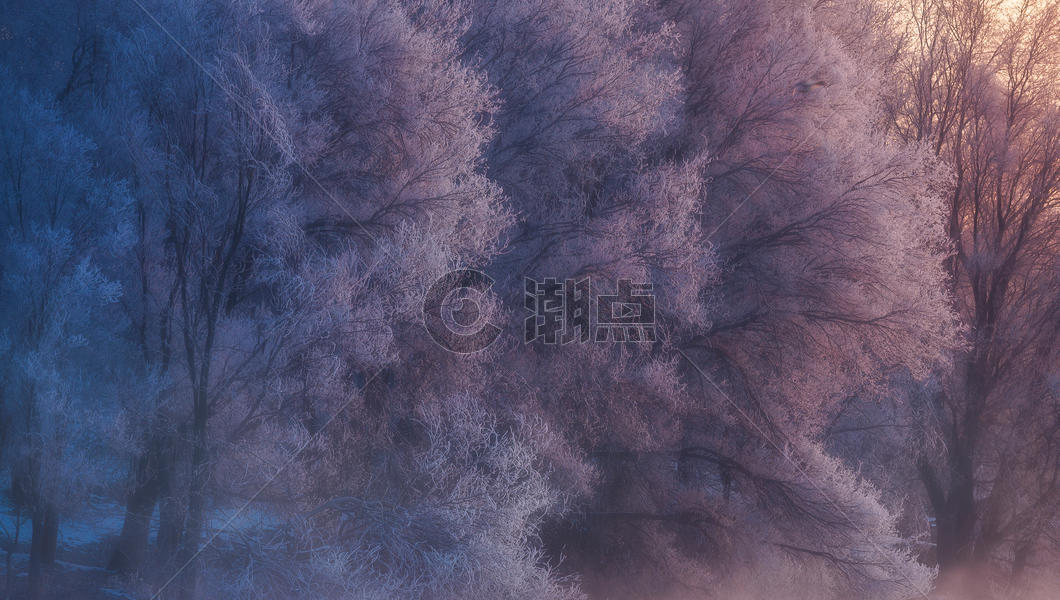 雾凇之晨图片素材免费下载