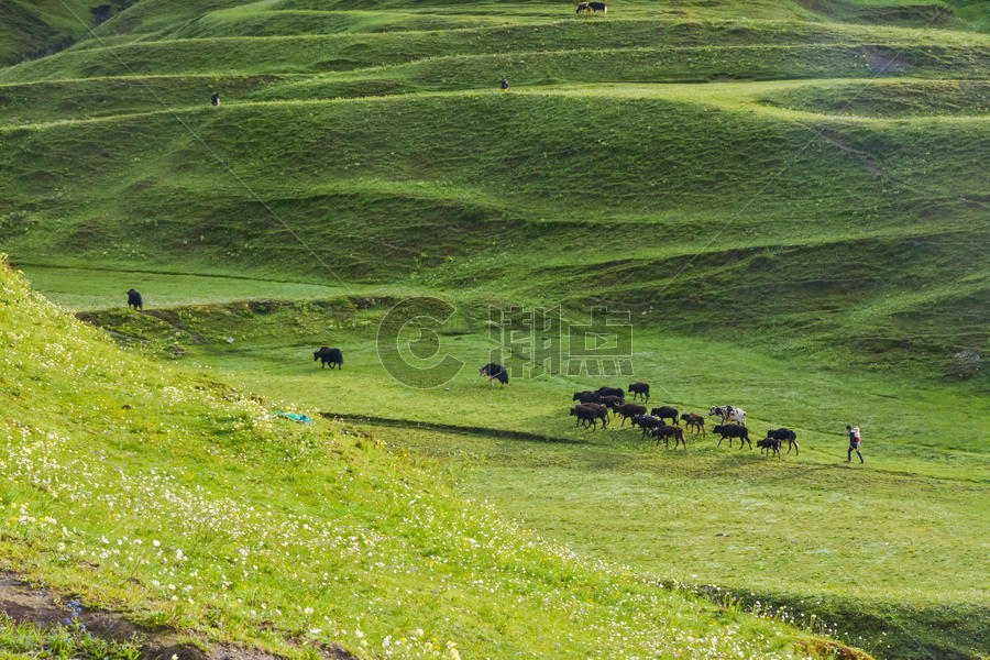 西藏沿途风光图片素材免费下载