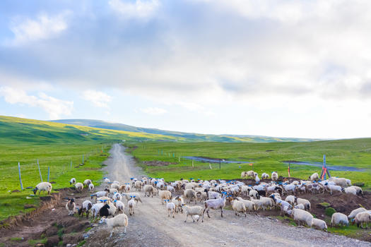 青藏公路沿途风光图片素材免费下载